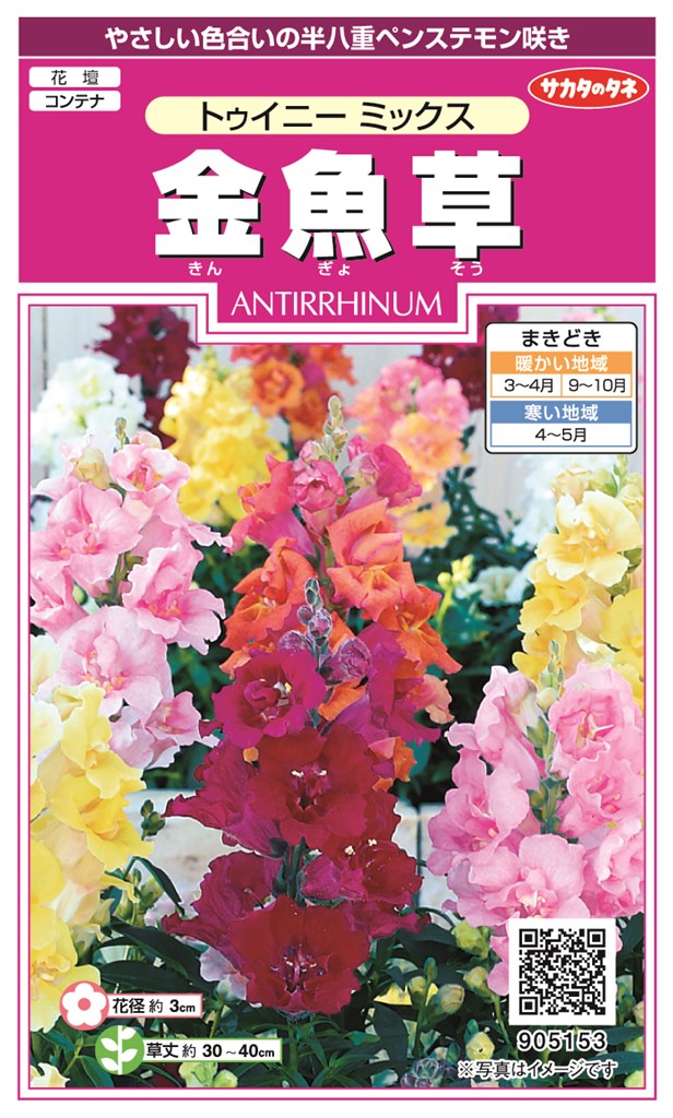 �������Υ��� ����� �ȥ����ˡ��ߥå����Υ���[�����̡���30γ]