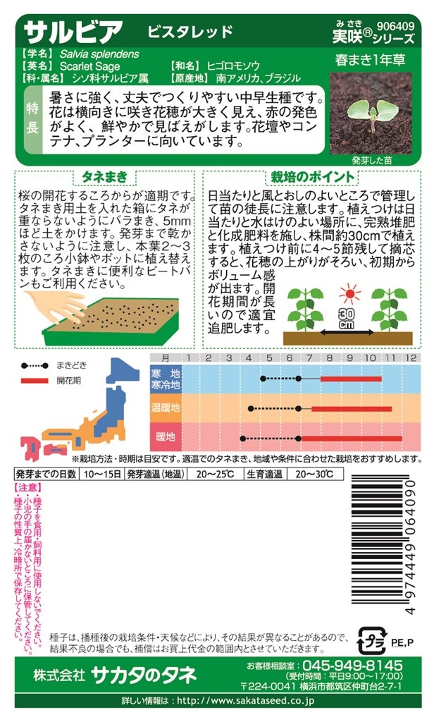 サカタのタネ サルビア ビスタレッドのタネ