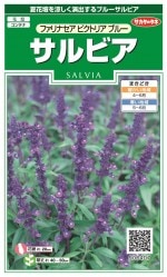 �������Υ��� ����ӥ� �ե���ʥ������ӥ��ȥꥢ�֥롼�Υ���[�����̡�0.1ml]