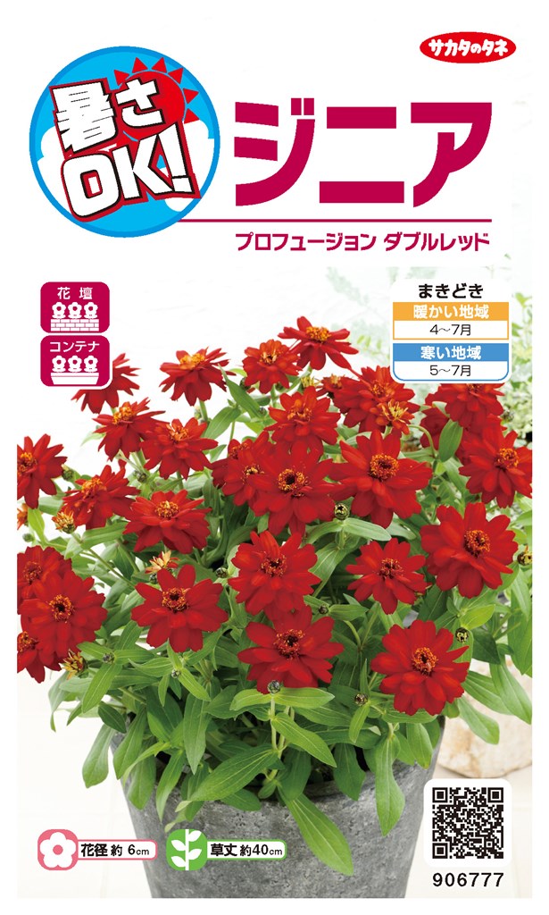 たねページ サカタのタネ ジニア (百日草) プロフュージョンダブルレッドのタネ