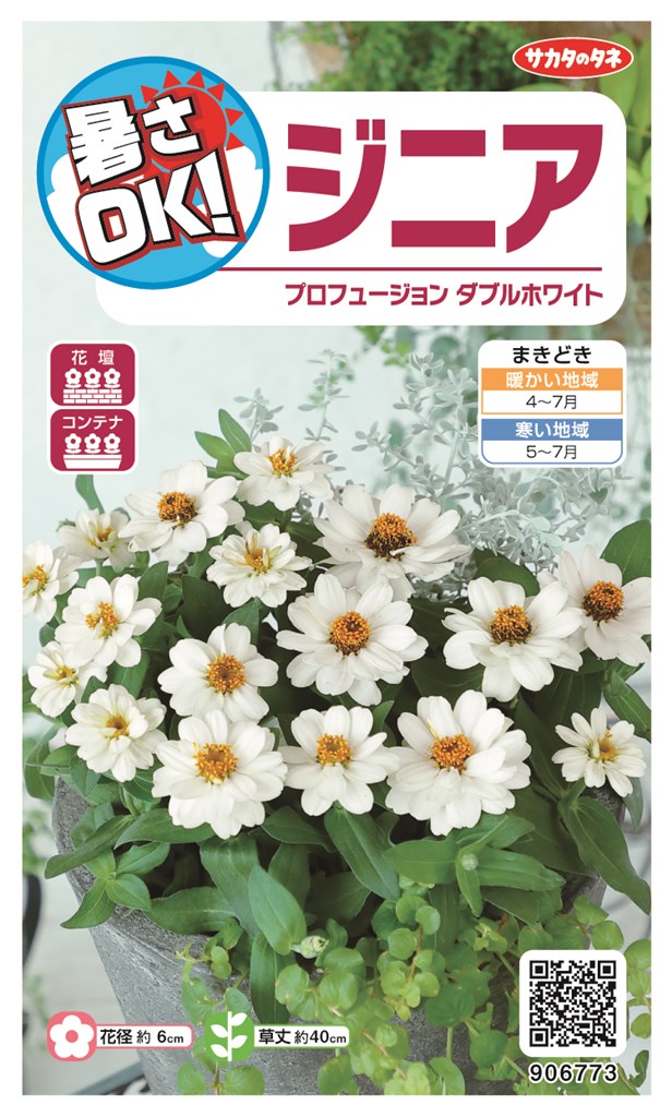ジニア（百日草）のタネ｜日光種苗オンラインショップ