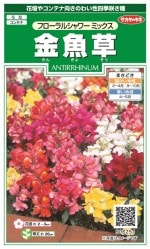 �������Υ��� ����� �ե�����륷���ߥå����Υ���[�����̡�0.05ml]