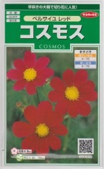 Υ ⥹ ٥륵åɤΥ[̡2ml]