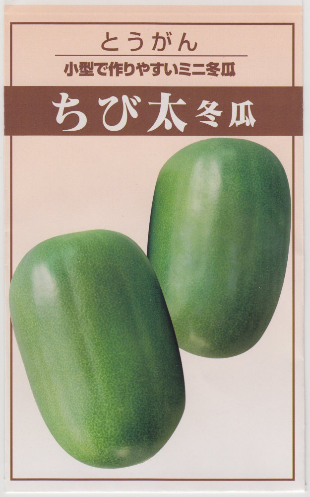 宝種苗 とうがん ちび太のタネ[内容量：約8粒] | 【メーカー名からタネ