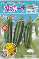 ȥ ȥ饷 ҥʤΥ[̡20γ]