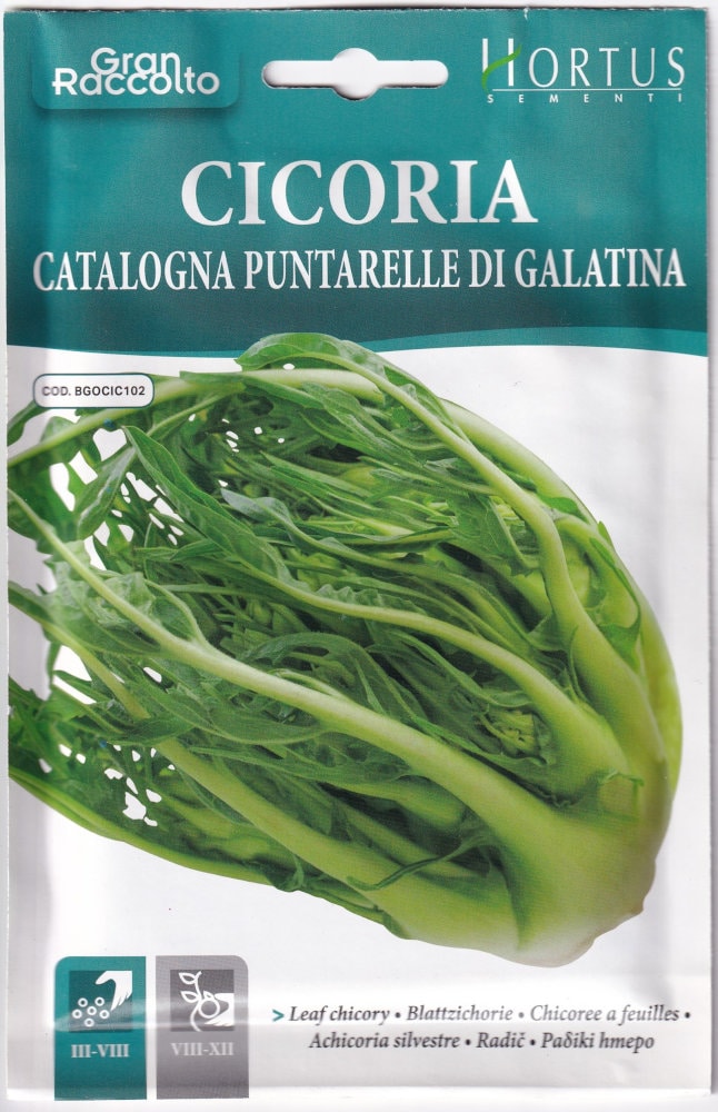 HORTUS�ʥ����ꥢ�� �ץ󥿥�å� CATALOGNA PUNTARELLE DI GALATIN�Υ���[�����̡�30g]
