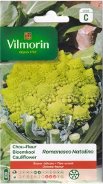 Vilmorin�ʥե�󥹡� ����ե� Romanesco Natalino�Υ���[�����̡�5g]�ʥ��ޥͥ������ʥ��꡼�Ρ�