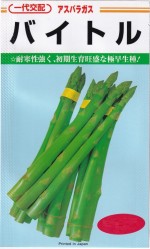 ���ͥ����� �����ѥ饬�� �Х��ȥ�Υ���[�����̡���30γ]