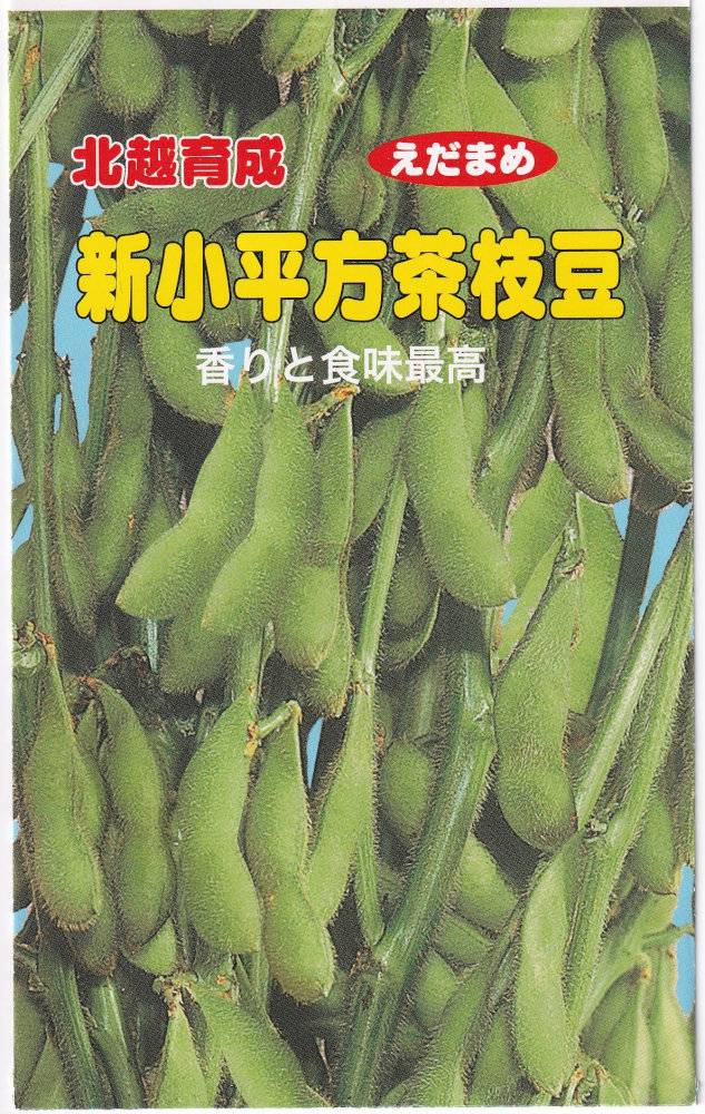 北越農事 エダマメ 新小平方茶枝豆のタネ[内容量：1dl] | 【メーカー名