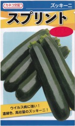 ���ͥ����� ���å����� ���ץ��ȤΥ���[�����̡���9γ]