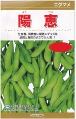 ���ͥ����� �����ޥ� �۷äΥ���(�褦����)[�����̡���100γ]