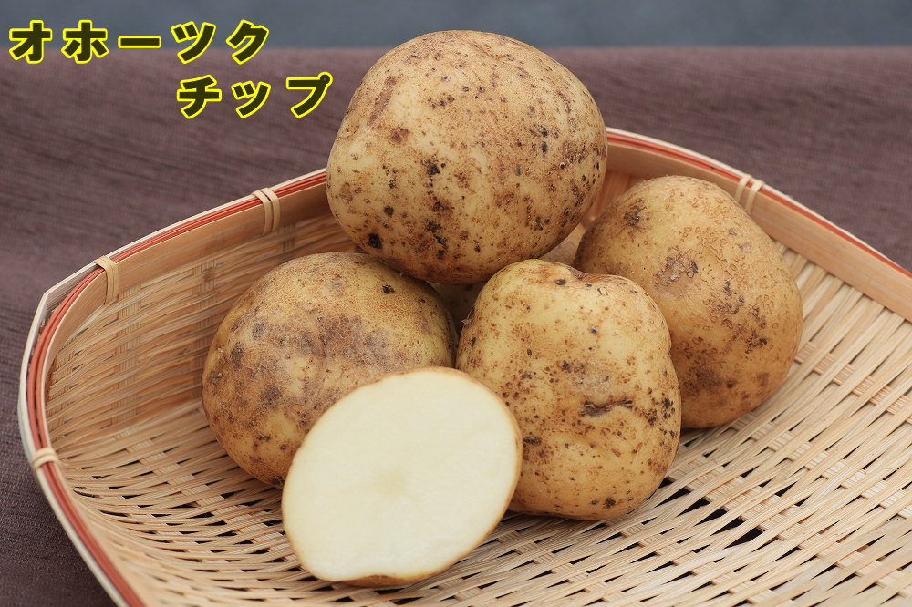 �ڼ兩�㥬���⡦�襤��֥ۡ��ۡ��ĥ����åספμ露�㤬���⡡�󣵣��������ڽե��㥬�����ѡ��������ܡ������ȯ���ۡ��ʼ�̾�����ۡ��ĥ����å�_��Ͽ�ֹ桧��14895��_�������жػߡ�