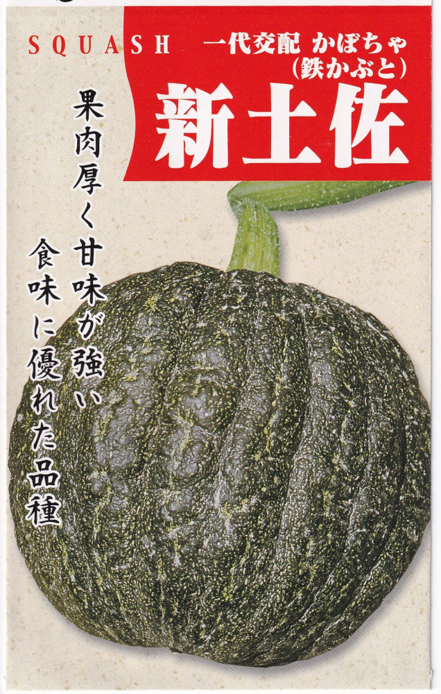 丸種 カボチャ 新土佐のタネ[内容量：1dl](鉄かぶと)