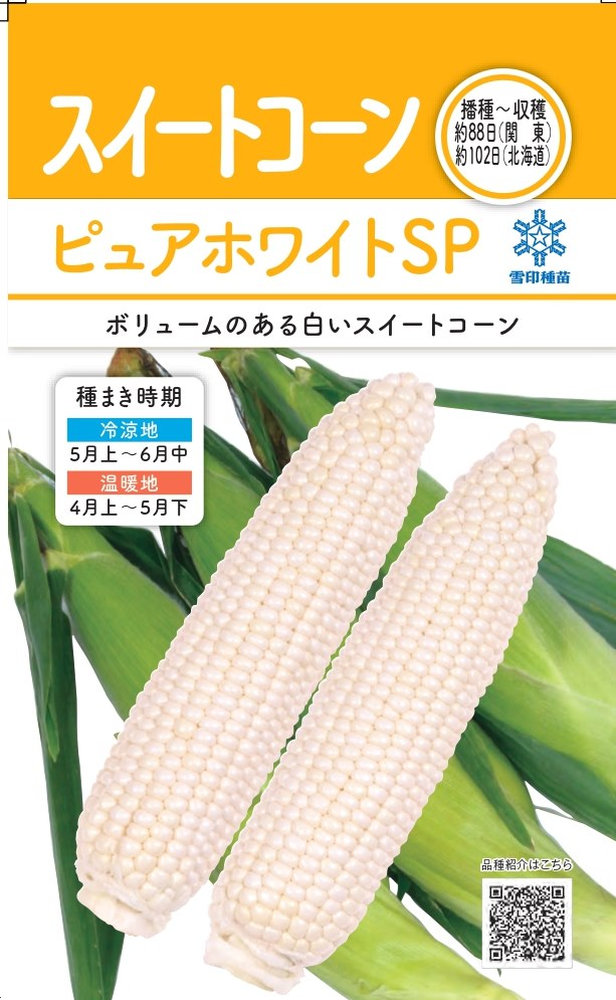  ȥ ԥ奢ۥ磻ȣӣФΥ[̡30ml]