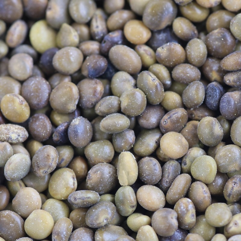 ����륫�󥾥��Υ���[�����̡�100ml]