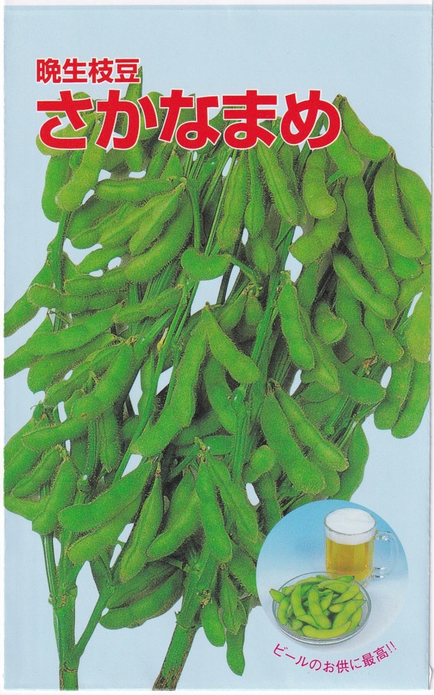 米三 晩生枝豆 さかなまめのタネ[内容量：1dl] | 【メーカー名からタネ