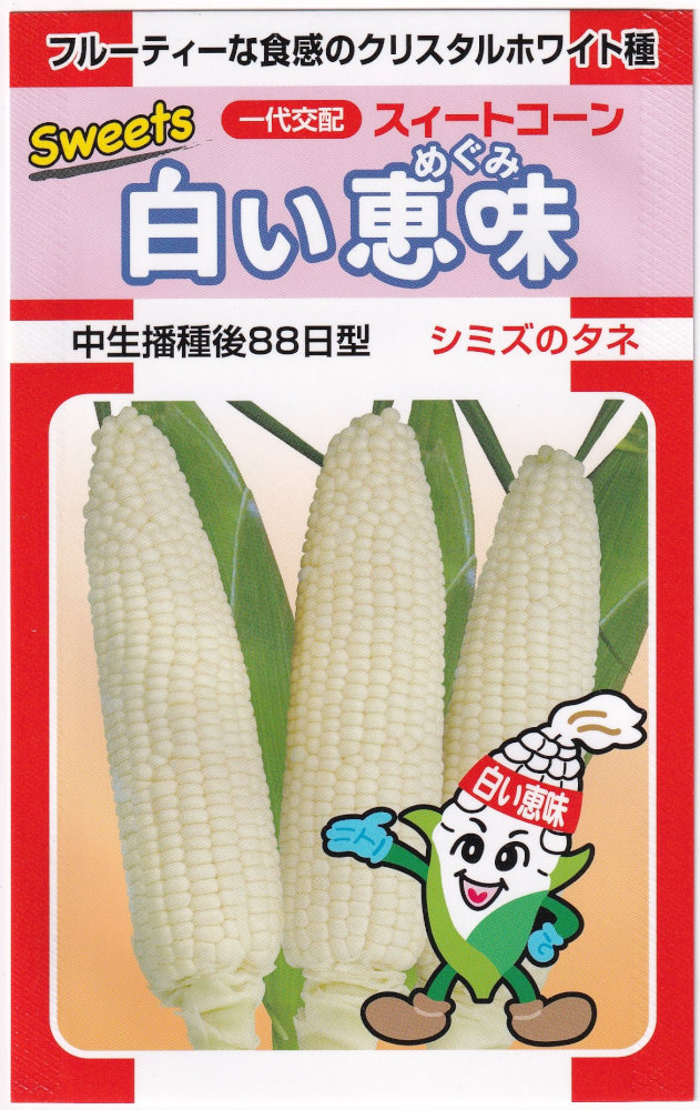 ������� �������ȥ����� �򤤷�̣�Υ���(�������ᤰ��)[�����̡���120γ]