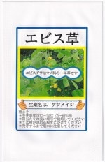 ʡ�楷���� ���ӥ���Υ���[�����̡�5ml](���ĥᥤ��)