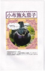 ʡ�楷���� �ʥ� ���ۻܴݲػҤΥ���[�����̡�0.5ml]