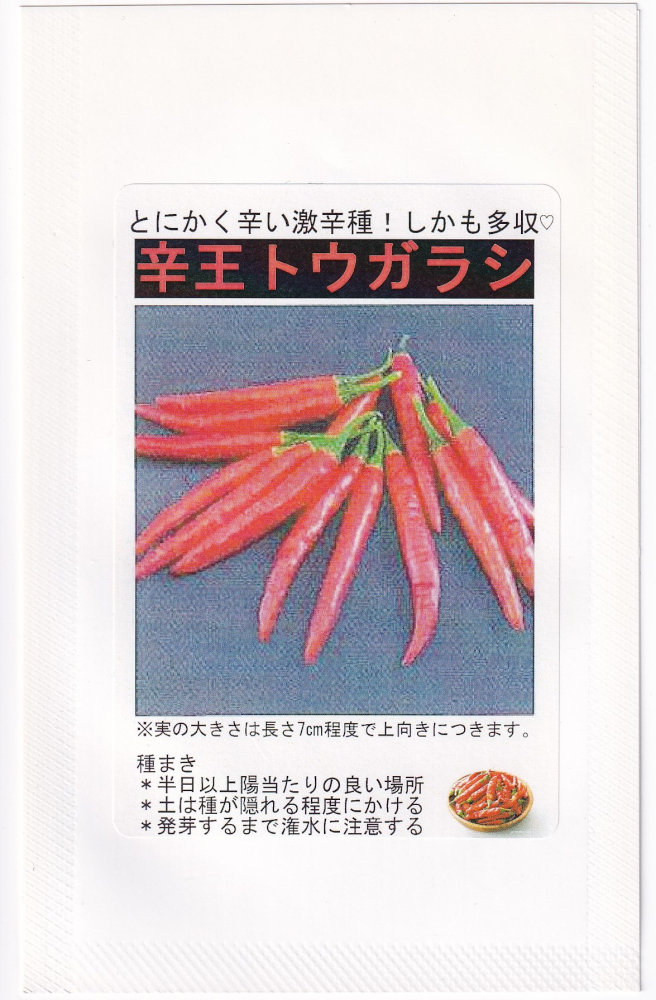 福井シード 激辛トウガラシ 辛王のタネ[内容量：2ml] | 【メーカー名