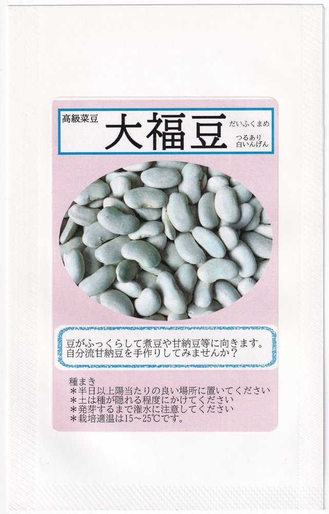 福井シード つるあり白いんげん 大福豆のタネ(だいふくまめ)[内容量