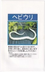 ʡ�楷���� �ؤӤ���Υ���[�����̡�10ml]