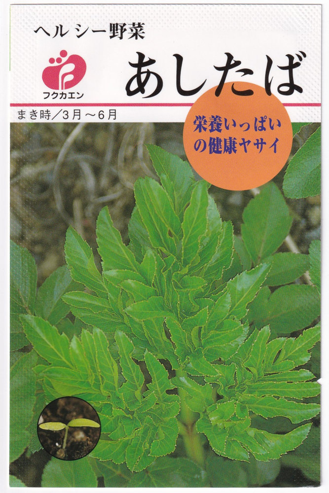 ʡ�ֱ���� �������ФΥ���[�����̡�2ml]