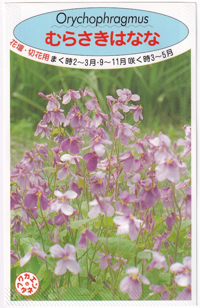 ʡֱ 餵ϤʤʤΥ[̡0.5ml]