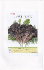 Ӽ ꡼ե쥿 ե饪Υ[̡0.7ml]