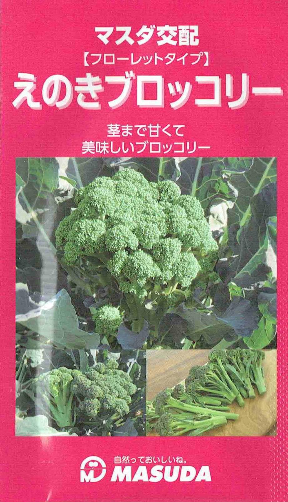 増田採種場 えのきブロッコリーのタネ[内容量：コート種子約50粒