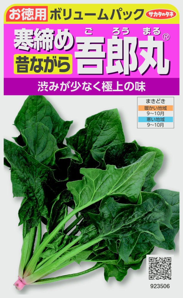 サカタのタネ 日本系ほうれん草 寒締め吾郎丸のタネ(ごろうまる) お