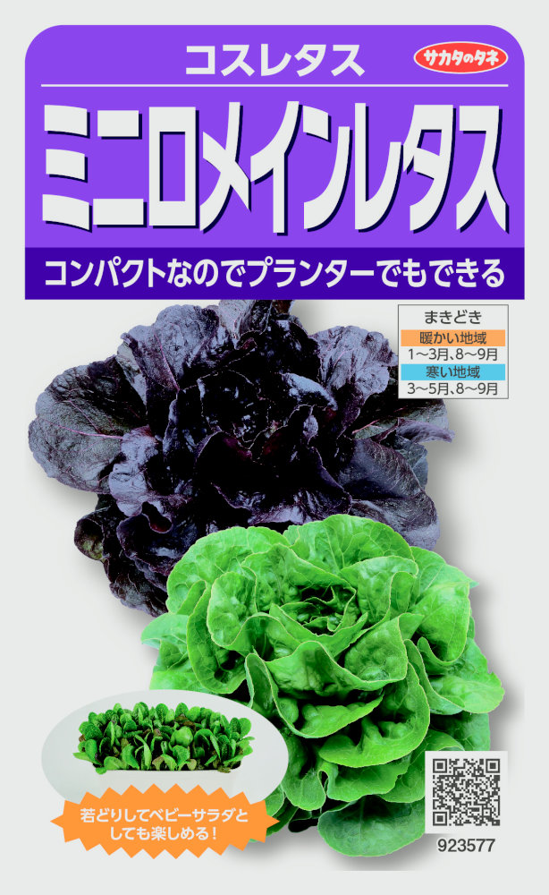 �������Υ��� �ߥ˥��ᥤ��쥿�� �����쥿���Υ���[�����̡���40γ]