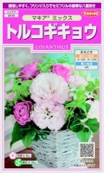 �������Υ��� �ȥ륳�����祦 �ޥ����ߥå����Υ���[�����̡���30γ]