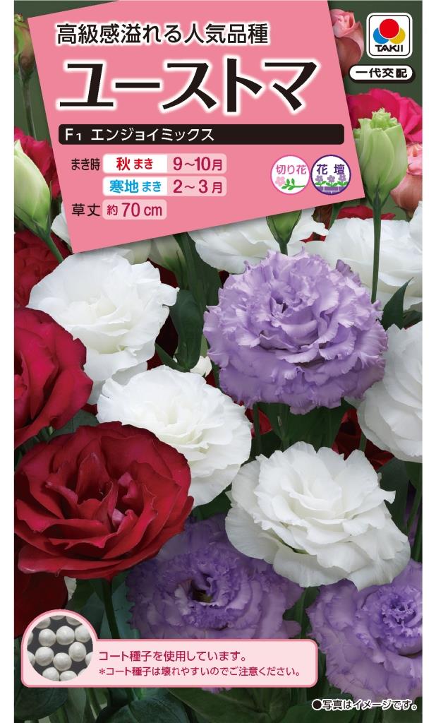 ���������� �桼���ȥ� ���󥸥祤�ߥå����Υ���[�����̡���30γ]