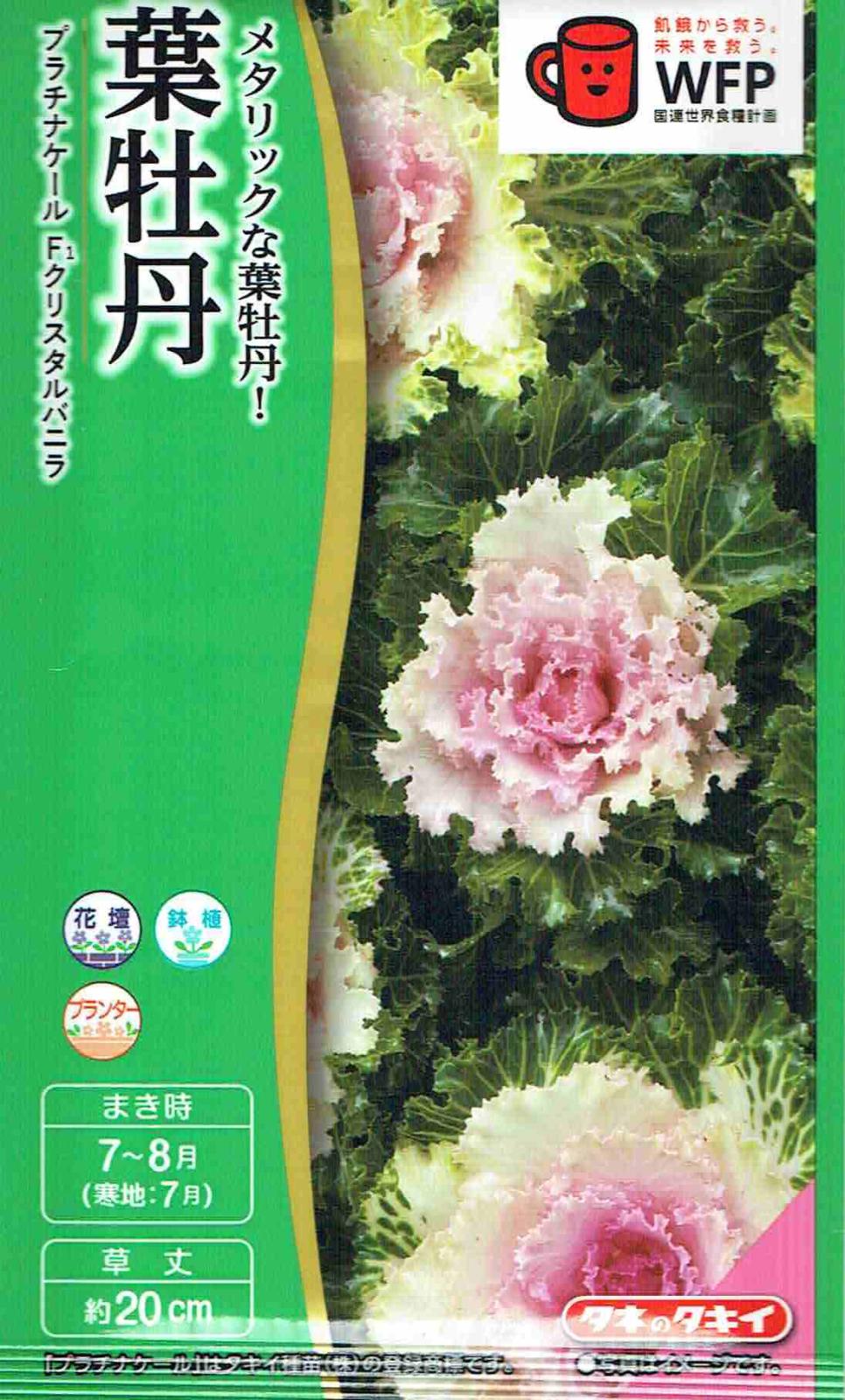 タキイ種苗 葉牡丹 プラチナケール クリスタルバニラのタネ[内容量：約