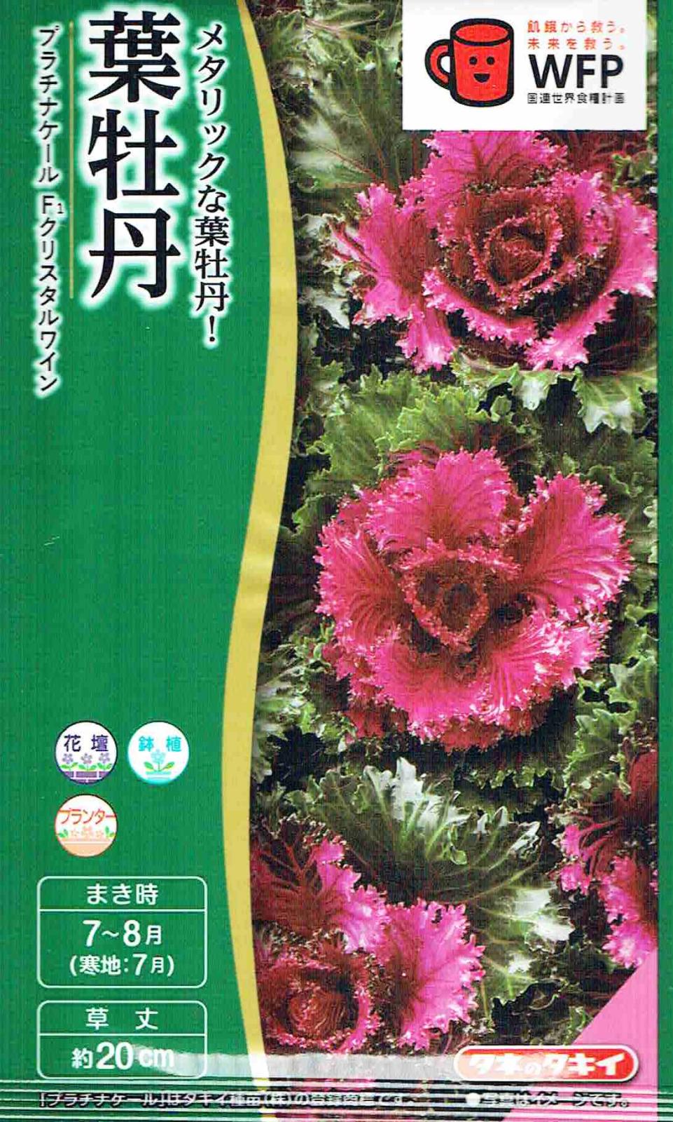 タキイ種苗 葉牡丹 プラチナケール クリスタルワインのタネ[内容量：約