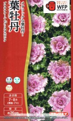  ղð ץʥ롡ꥹԥ󥯤Υ[̡20γ]