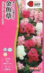 ���������� ����� �ݥåץ��åס����ȥ꡼��֥��ɤΥ���[�����̡�0.03ml]