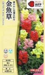 ���������� ����� �ݥåץ��åס����������ɥ֥��ɤΥ���[�����̡�0.03ml]