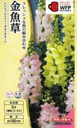   쥸ԥ󥯥͡ɤΥ[̡0.03ml]