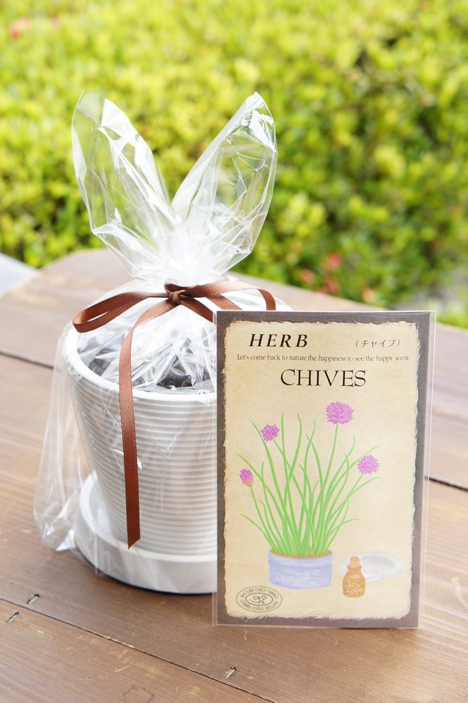 �ϡ��ֺ��ݥ��åȡ֥��㥤�֡�