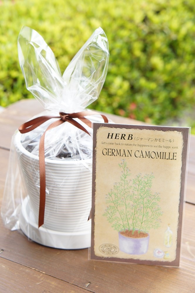 �ϡ��ֺ��ݥ��åȡ֥��㡼�ޥ󥫥�ߡ����