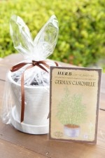 ϡֺݥåȡ֥㡼ޥ󥫥ߡ