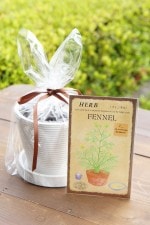 ϡֺݥåȡ֥ե󥹥եͥ