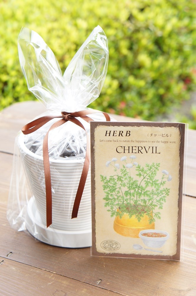 �ϡ��ֺ��ݥ��åȡ֥��㡼�ӥ��