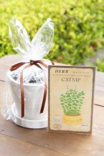 ϡֺݥåȡ֥åȥ˥åס