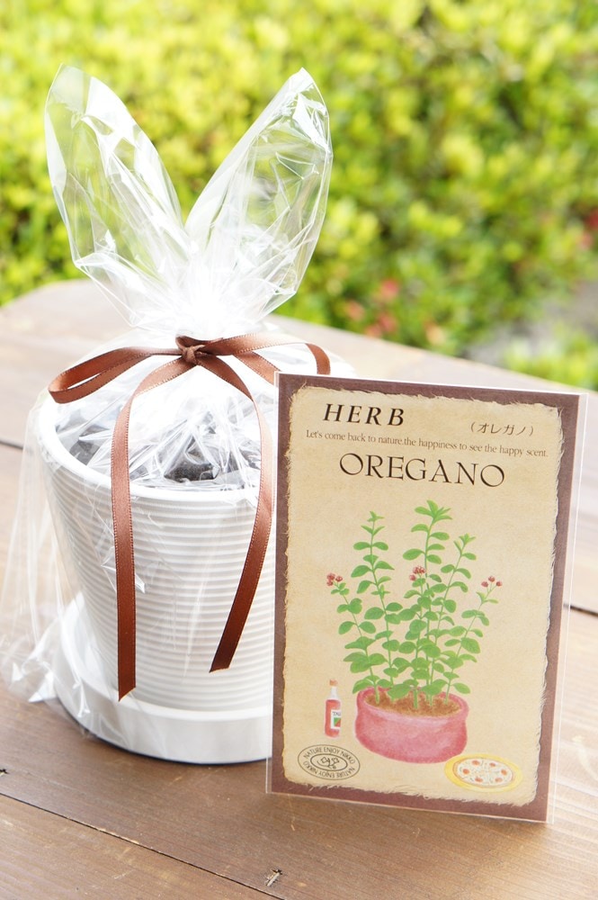 �ϡ��ֺ��ݥ��åȡ֥��쥬�Ρ�