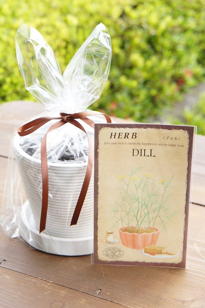 ハーブ栽培セット「ディル」 | 【ガーデニング用品】,【栽培セット