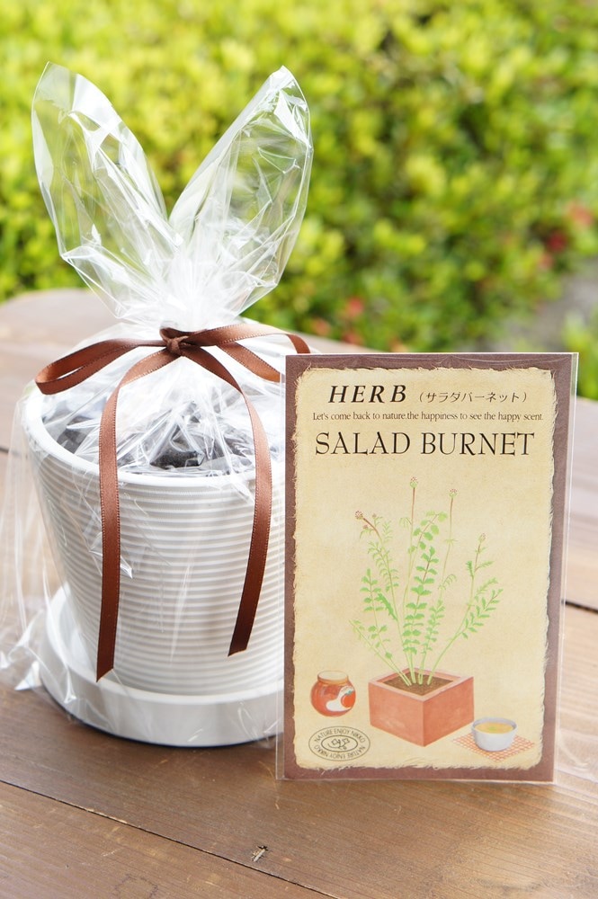 �ϡ��ֺ��ݥ��åȡ֥�����С��ͥåȡ�