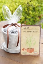 ϡֺݥåȡ֥Сͥåȡ